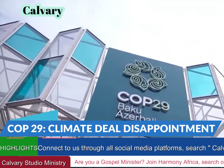 COP29: DELEGATIONS HOPE FOR MORE MONEY FLOWS IN THE FUTURE